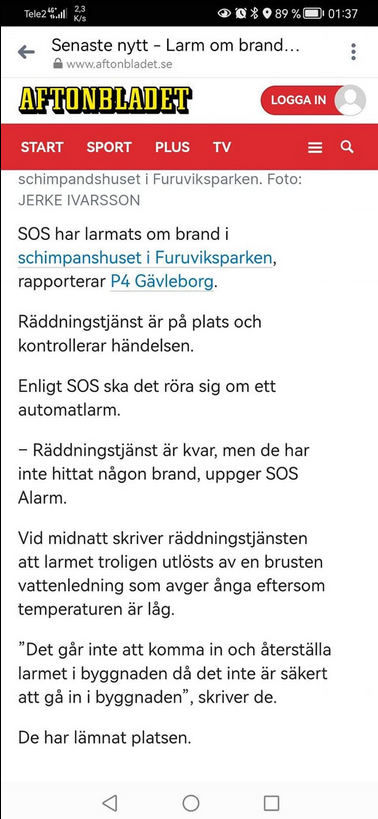 Brandlarm I Schimpanshuset