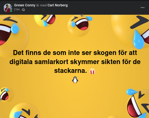 Digitalt Skymd Sikt