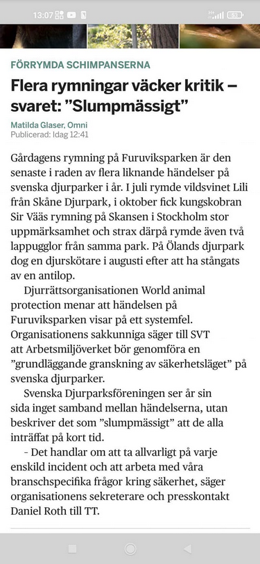 Slumpmässiga Djurparksincidenter