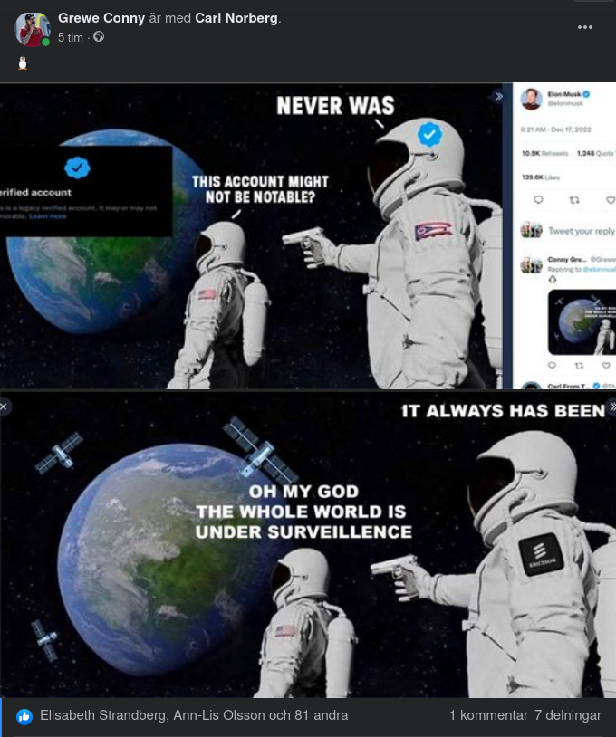 Bildsvar På Muskbildstwittrande