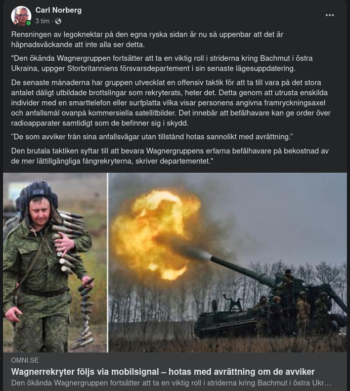 Intern Rysk Legoknektsrensning