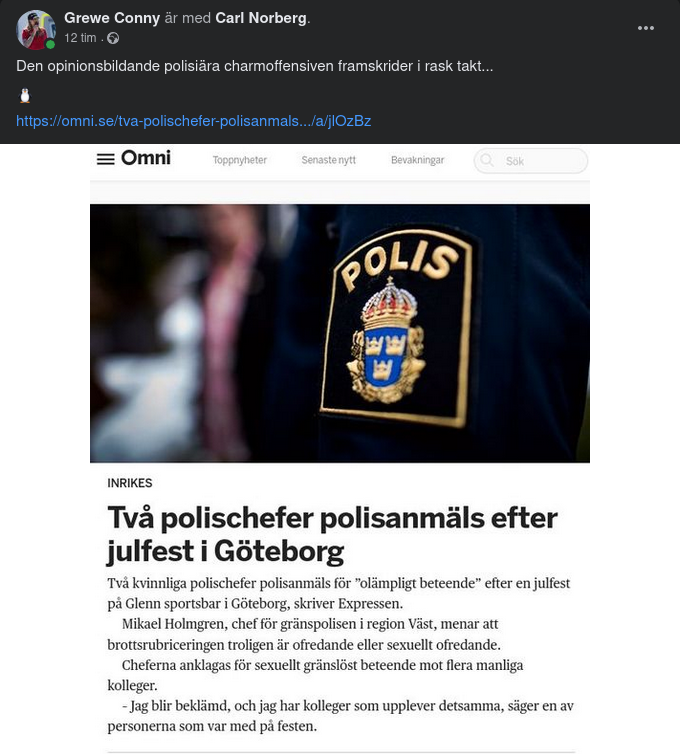 Polischefer Polisanmälda Efter Julfest