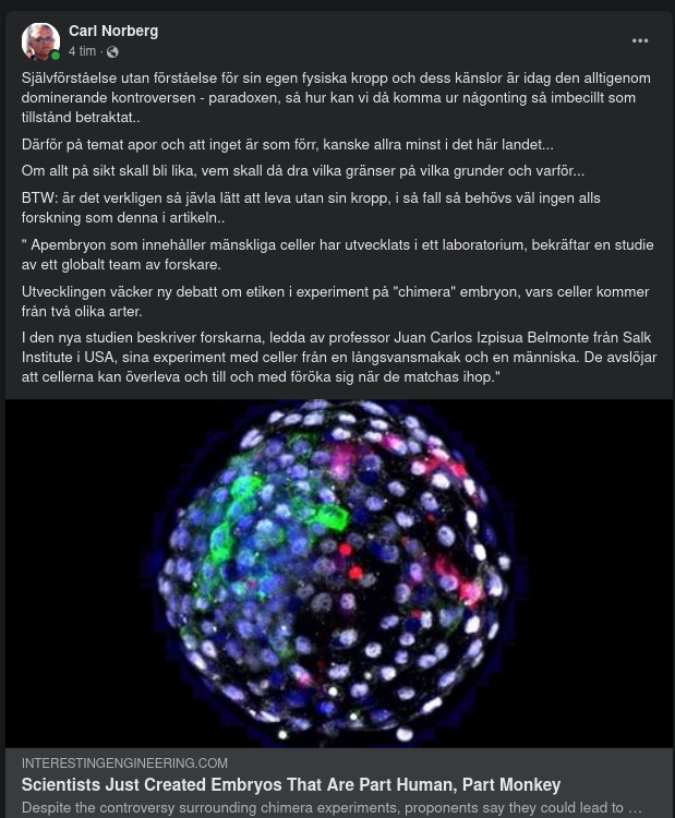 Apembryon Men Mänskliga Gener Laboratorieutvecklade