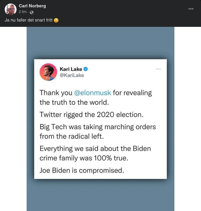 Kari Lake Tackar Elon Musk