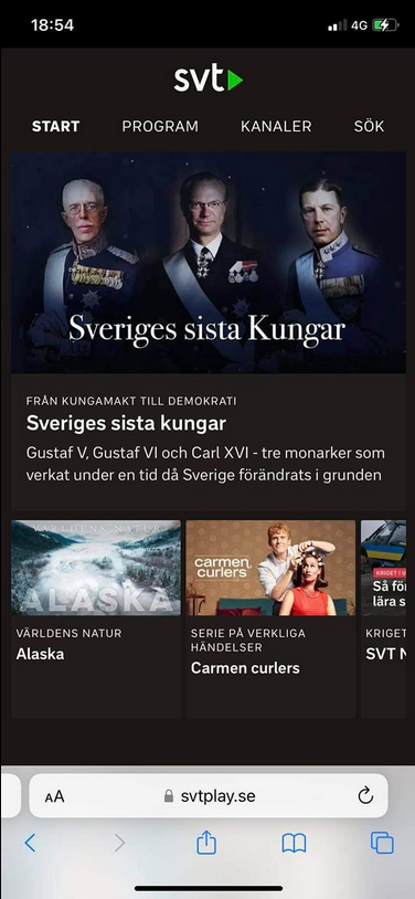 Kungademokratiskt Menande?..