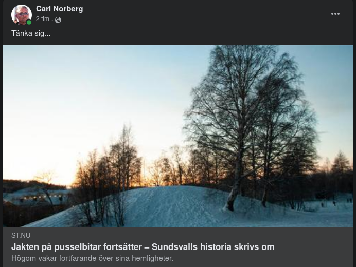 Outforskade Pusselbitar I Högom