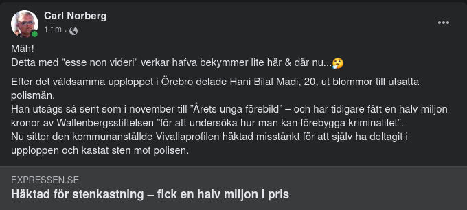 Wallenbergsstiftelseprisad Stenkastare