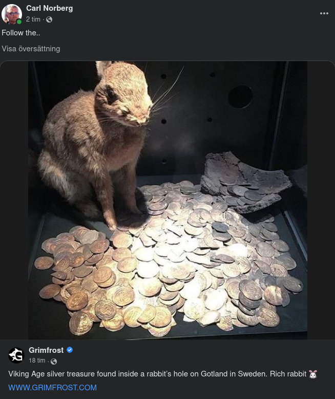 Vikingaskatt I Gotländskt Kaninhål