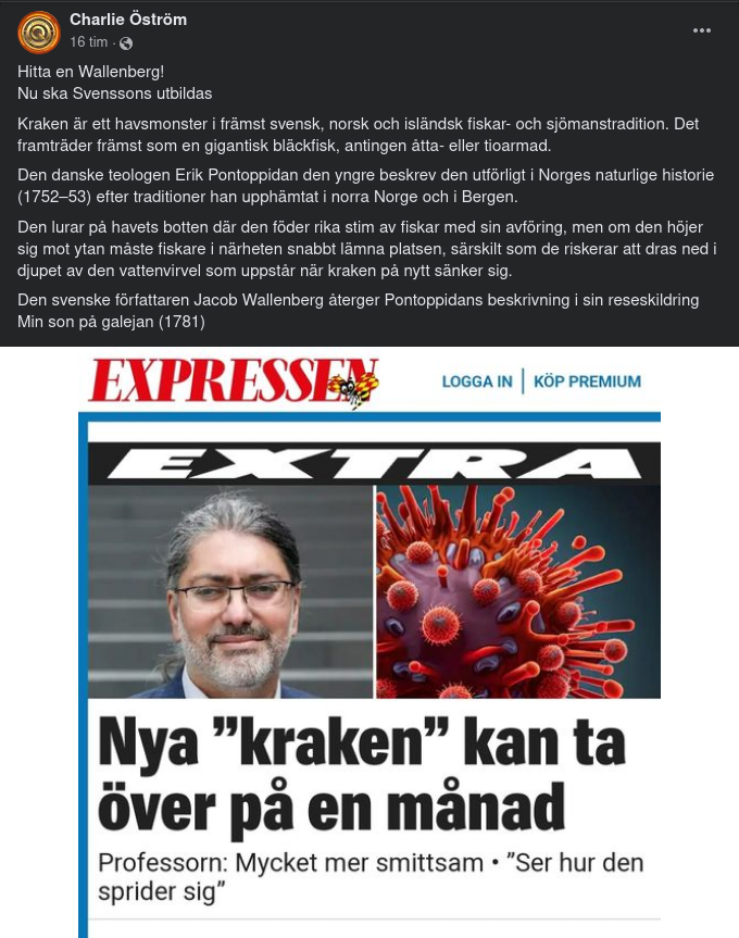 Pontoppidans Krakenbeskrivning Wallenbergsåtergiven