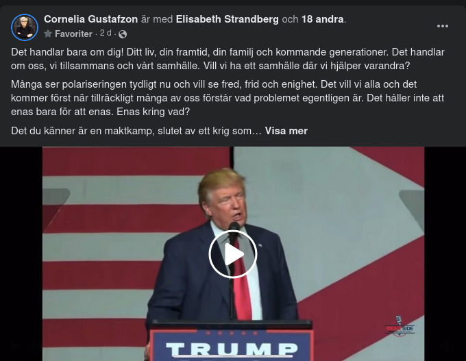 Något Om Den Svenska Krigsmakten