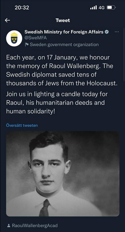 Q-iskt Ljus För Raoul