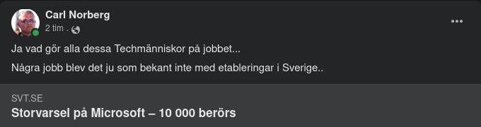 Storvarslande Microsoft