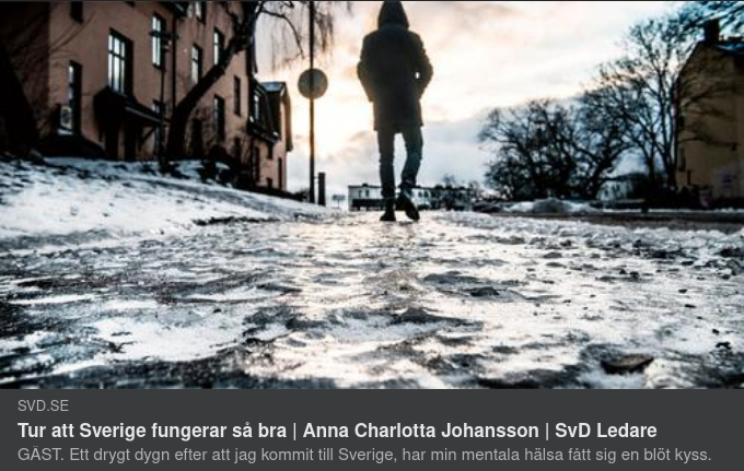 Kåseri Utan Orsaksgrund I SvD