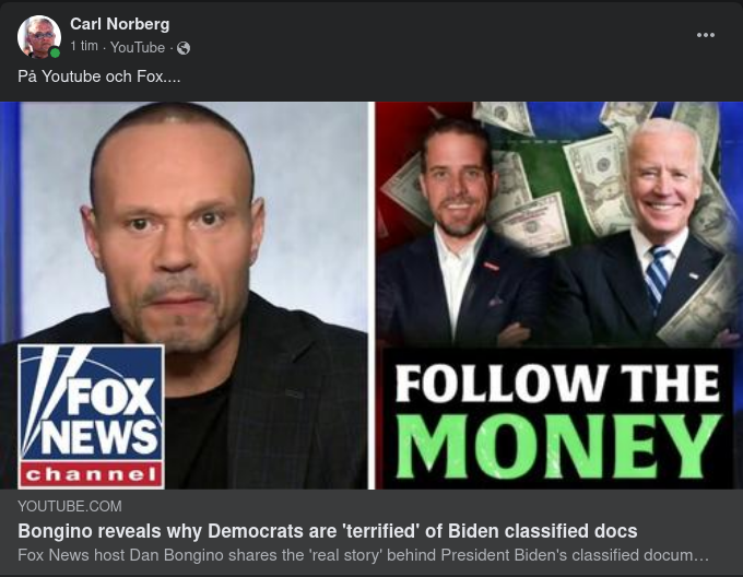 Tillgänglig Bongino