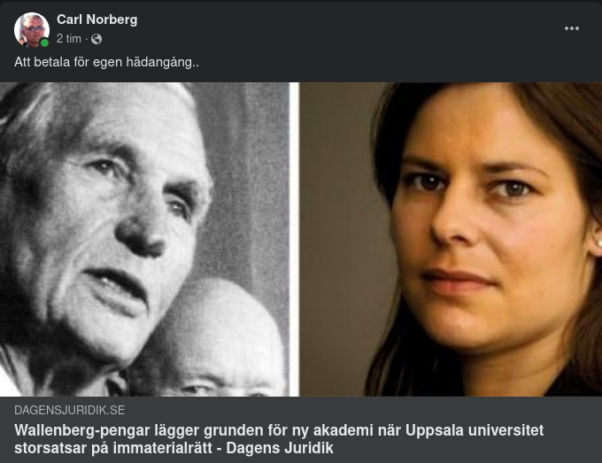 Självhädangångsfinansiering