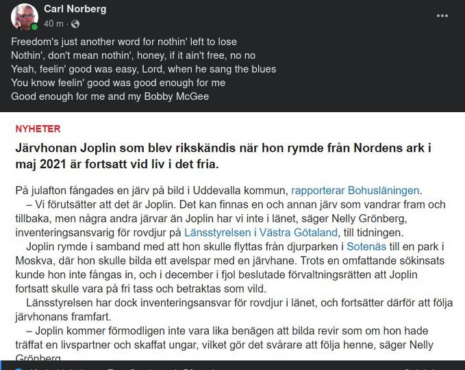 Järven Joplin Fri & Levande