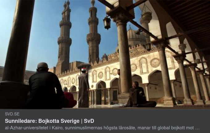 Sunnimuslimsk Bojkottsuppmaning Efter Koranbränning