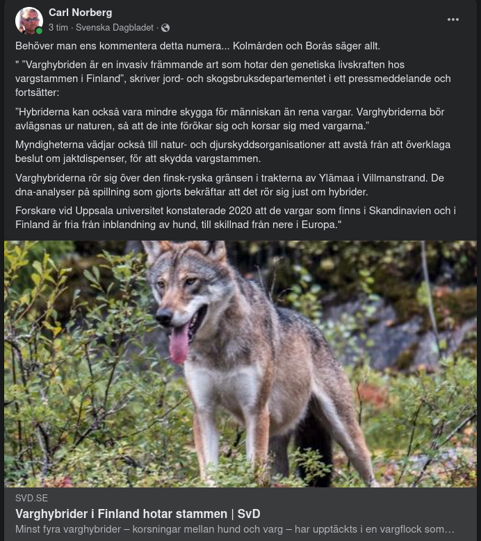 Stamhotande Varghybrider I Finland