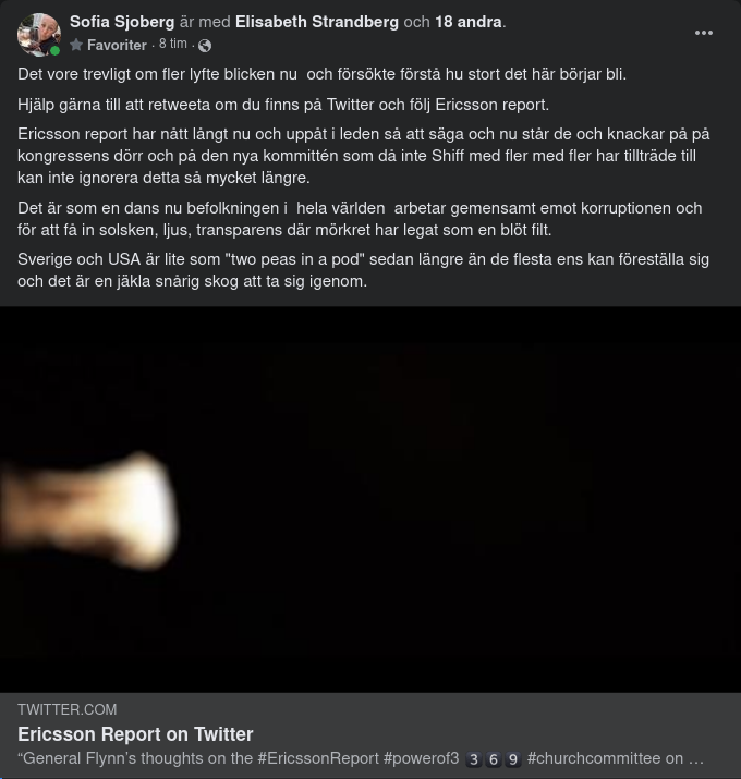 Flynn & Ericsson Report