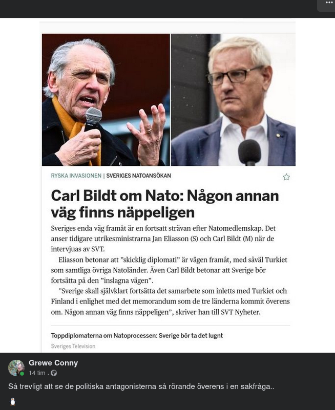 Eliasson & Bildt Nato-Överens