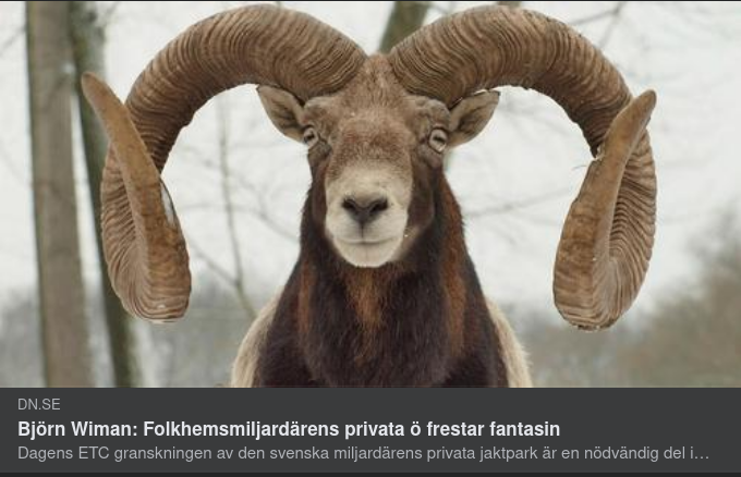 Syftande Litet Journalistiskt Alster