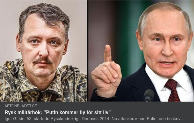 Putin-Kritiserande Stralkov