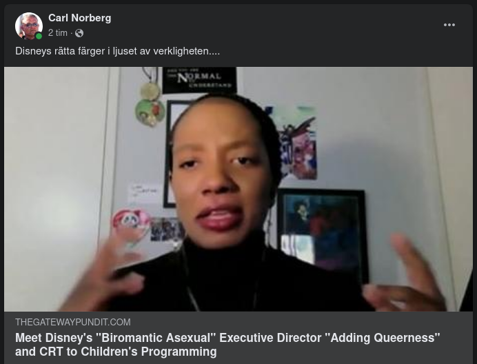 Disney I Verkligheten