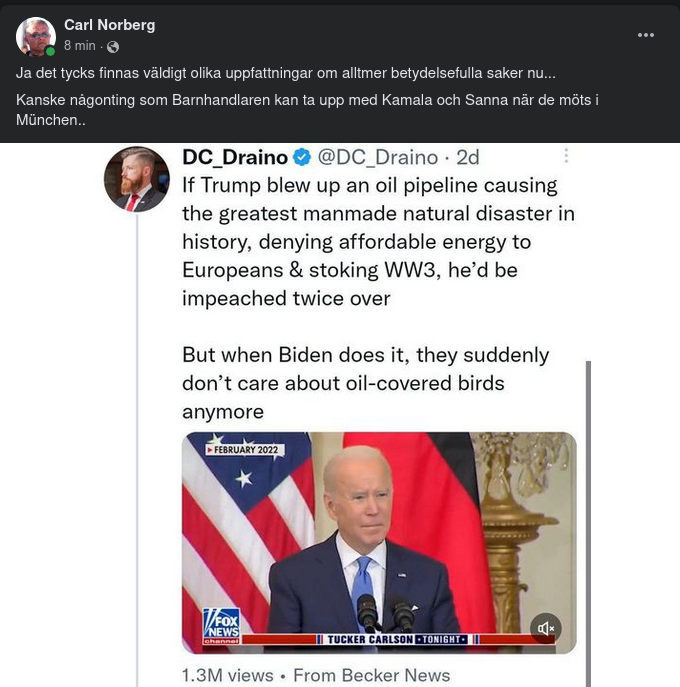 Olika Betydelseuppfattningar