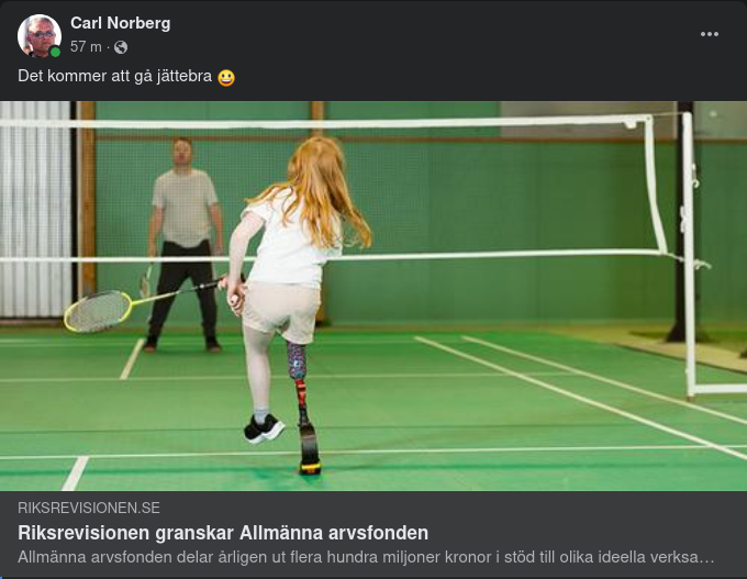 Riksrevisionen Granskar Allmänna Arvsfonden