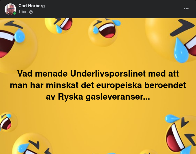 Underlivsporslinsminskat Europeiskt Gasbehov