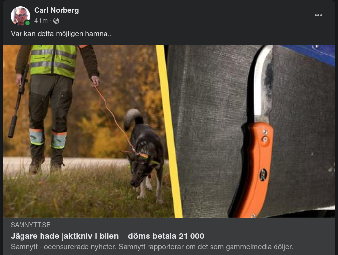 Jägare Dömd För Jaktkniv I Bil