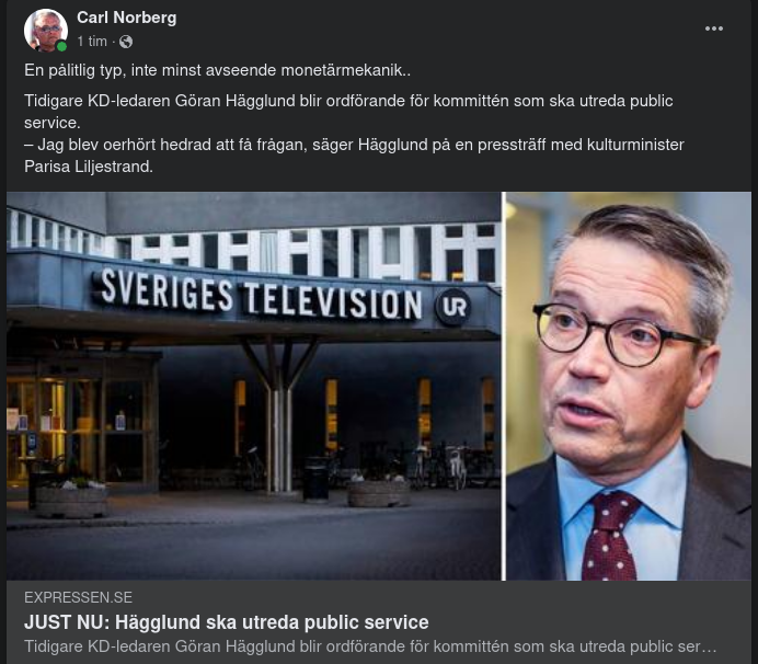 Hedrad Hägglund Ska Utreda Public Service