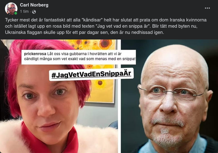 Från Iranska Kvinnor & Ukraina Till Snippan