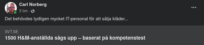 Klädesförsäljande IT-Personal