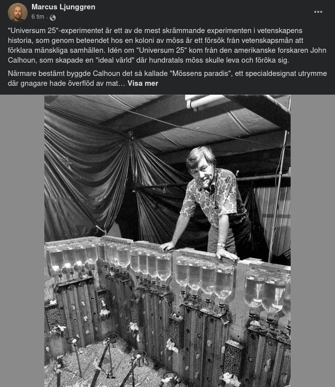 Universum 25 & Tid För Mänskligt Utvecklingssteg