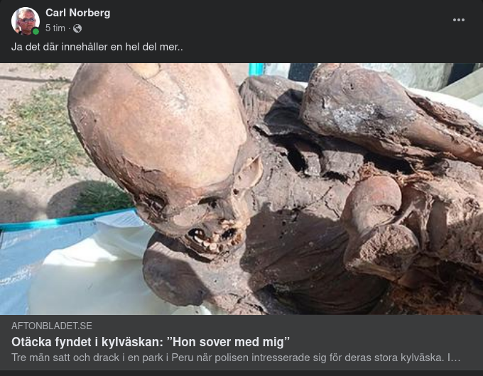 Mumie I Kylväska I Peru