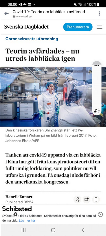 Från Konspiratoriskt Till Fullt Rimligt