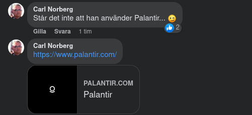 Palantirfunderingar