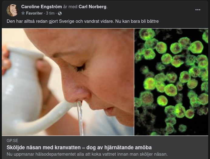 Kranvatten & Hjärnätande Amöba