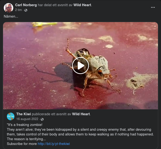 Svampiga Zombie-Insekter