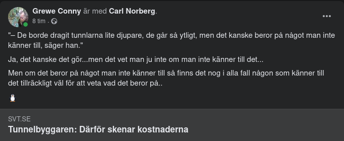 Dyra Ytliga Göteborgstunnlar