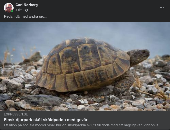 Hagelgevärssköldpaddsavlivande Finsk Djurpark