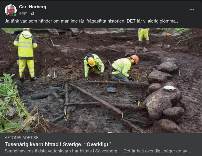 Historieifrågasättande Fynd