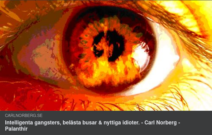 Intelligenta Gangsters, Belästa Busar & Nyttiga Idioter
