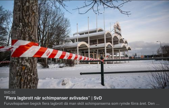 Schimpansavlivningar & Lagbrott