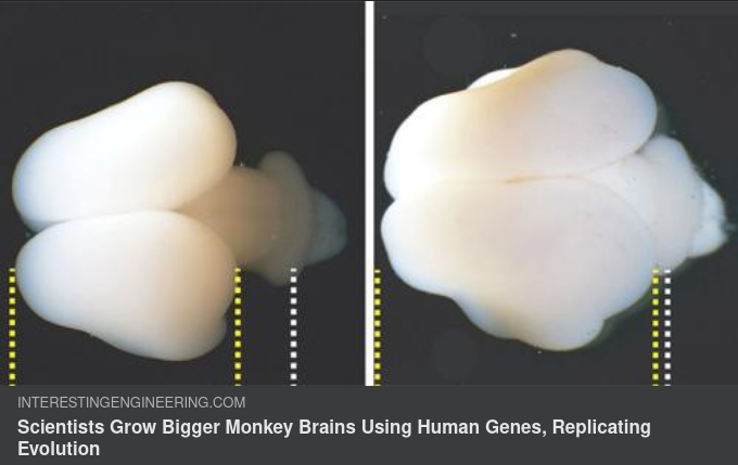 Forskning Med Gamla Anor