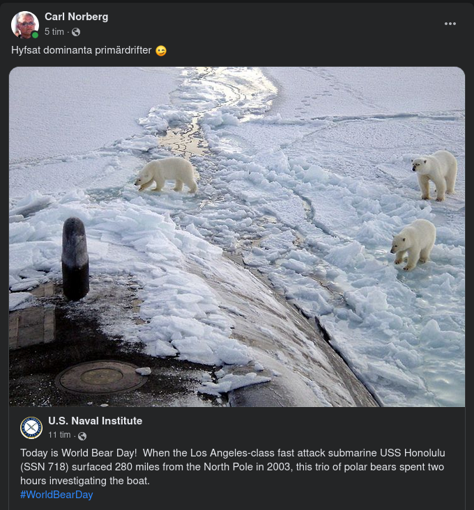 Arktisk Primärdrift