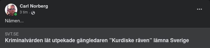 Kriminalvårdstillåtande Kurdiskt Rävsläpp