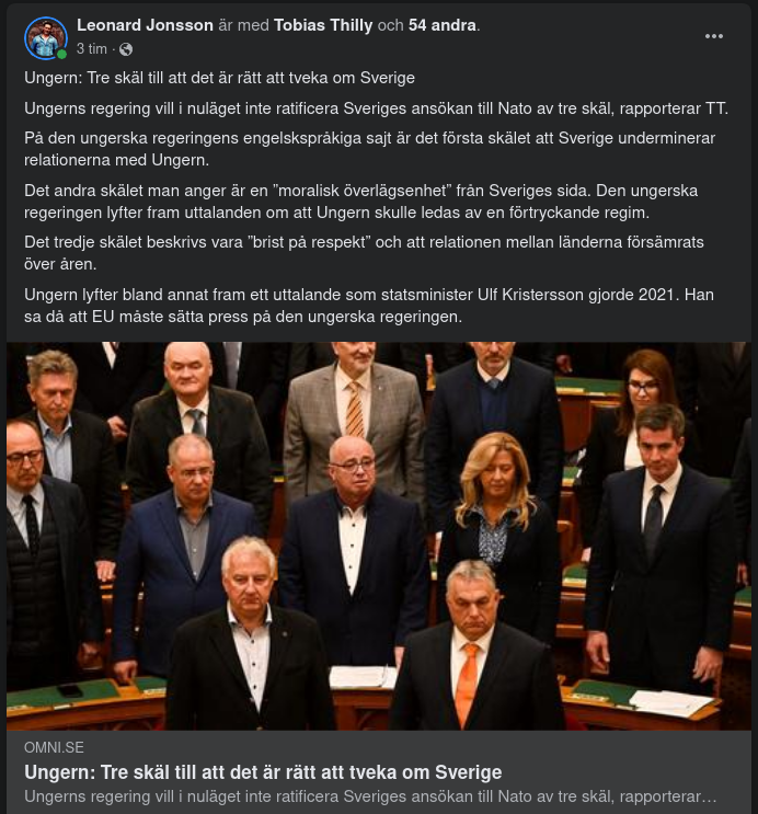 Ungerska Skäl För Svensktvekan