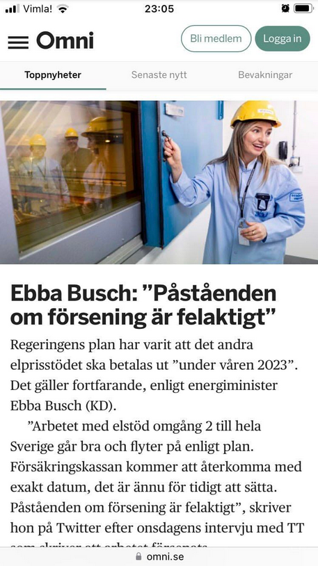Elprisstödsförseningsförnekande Busch